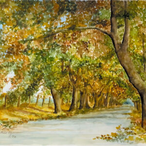 Beatris del Carmen Quintana Valdés
